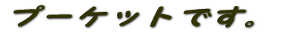v[PbgłB